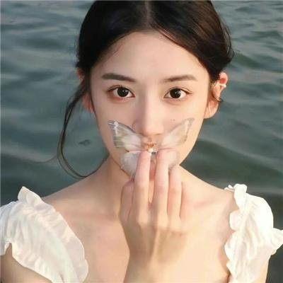 黑艳凤